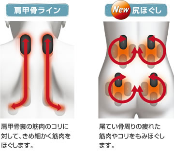 11タイプのもみ技で首から臀部まで効果的にもみほぐす