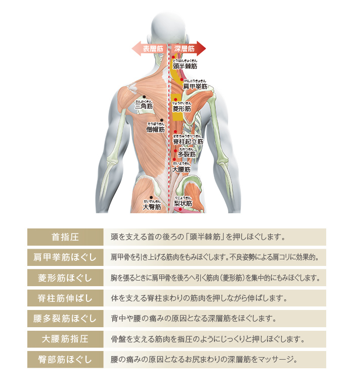 首指圧、背中拳筋ほぐし、菱形筋ほぐし、脊柱筋のばし、腰多裂筋ほぐし、大胸筋指圧、臀部筋ほぐし