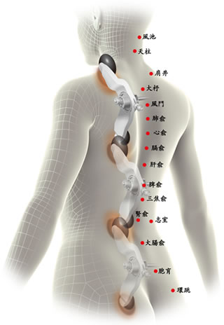 「痛み」「コリ」を感じるポイントを広範囲にカバー