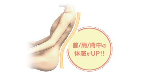 首、肩、背中の体幹がUp